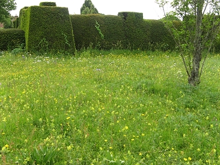 Great Dixter